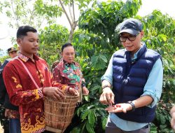 Strategi Gubernur Lampung Jadikan BBKI Hanakau Pusat Inovasi Kopi Unggul